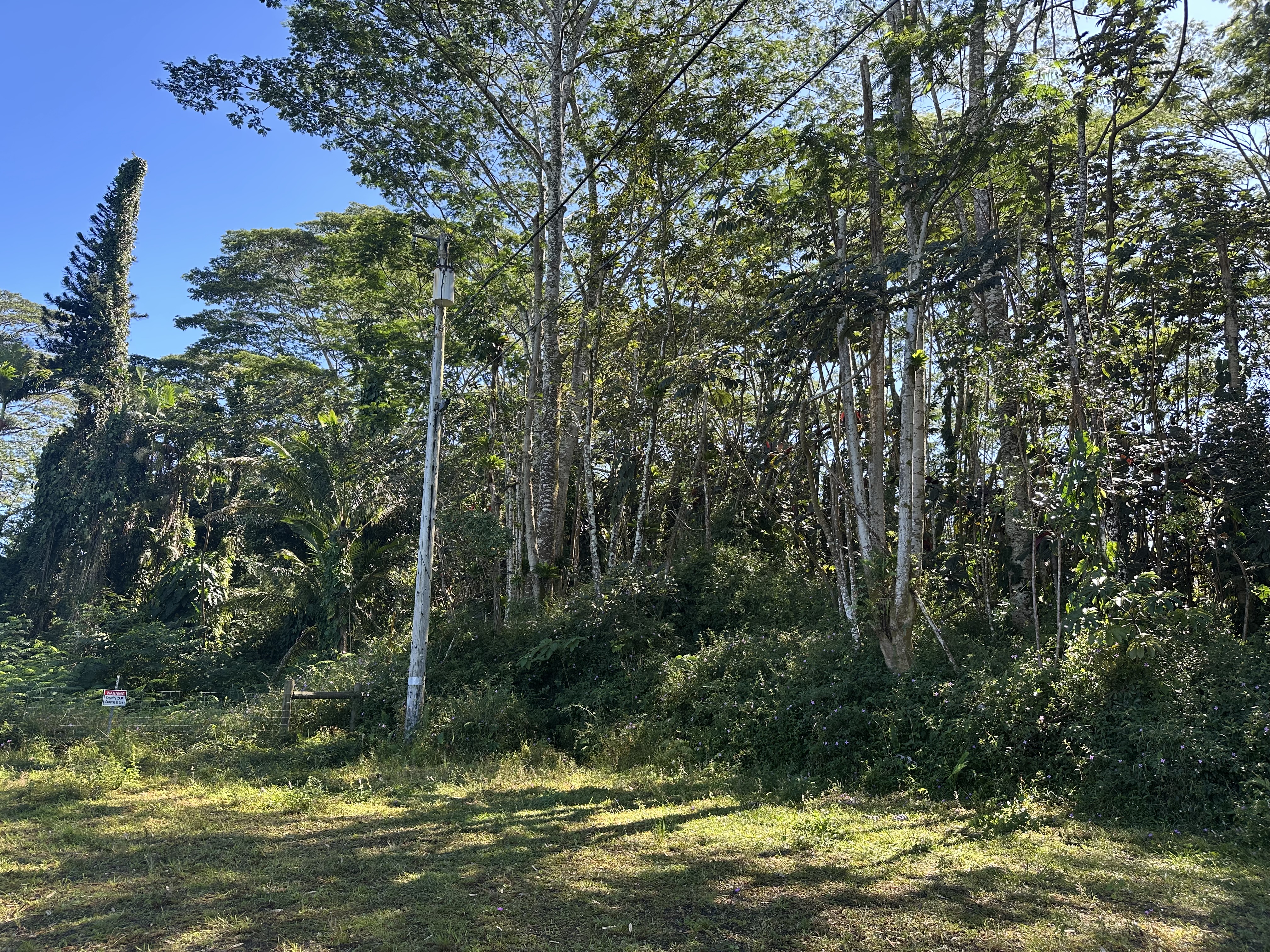 Oversized-sized lot in Nanawale Estates backing the Forest Reserve.