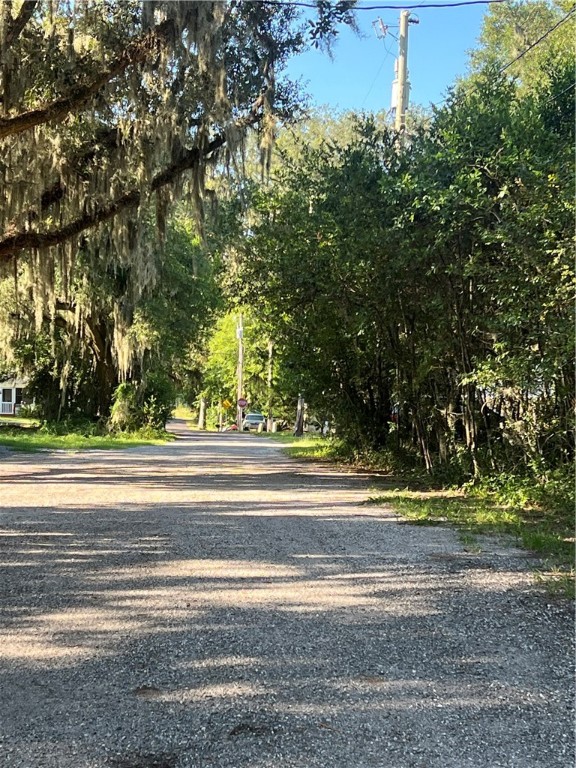 a view of a yard in front of a house