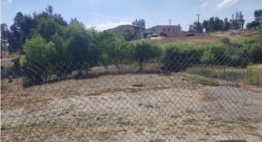 a view of a dry yard with trees