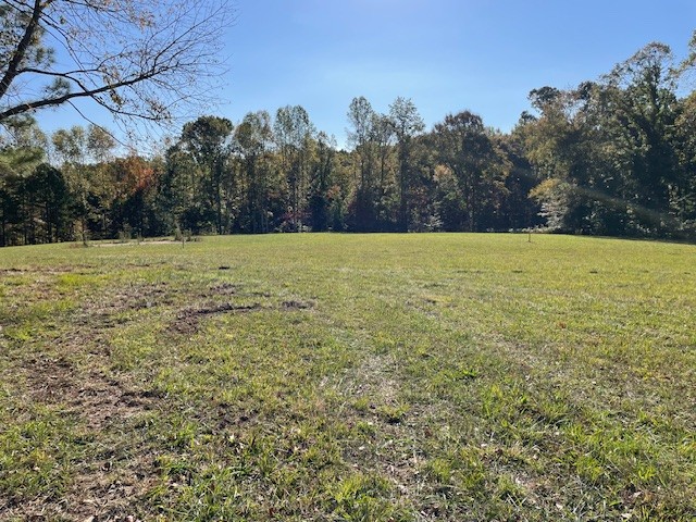 a view of a yard with an trees