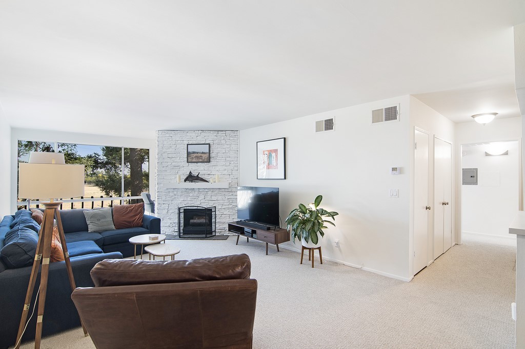 a living room with furniture a fireplace and a potted plant