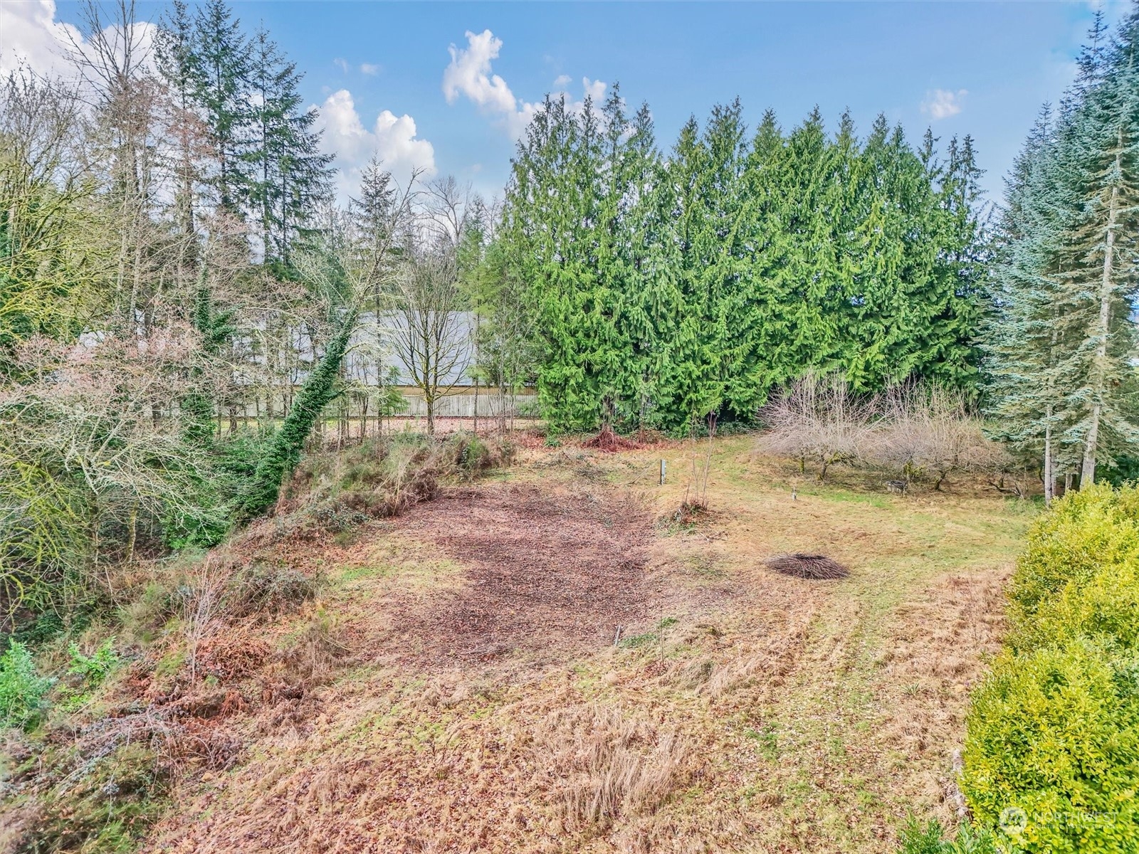 a backyard of a house with lots of green space