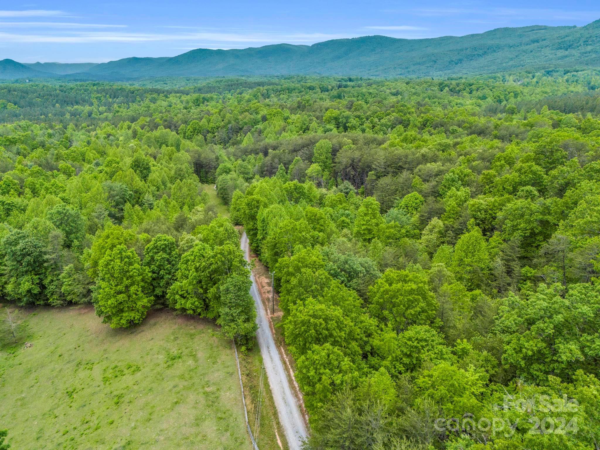 a view of a lush green forest with trees and houses