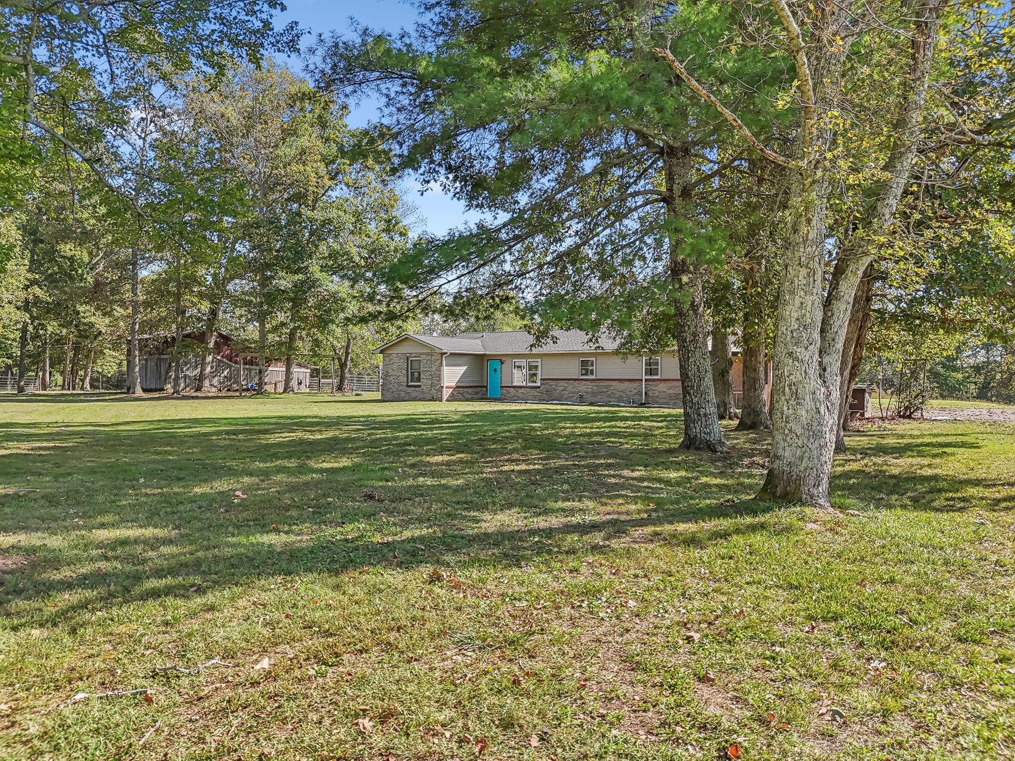 a view of a trees with a yard