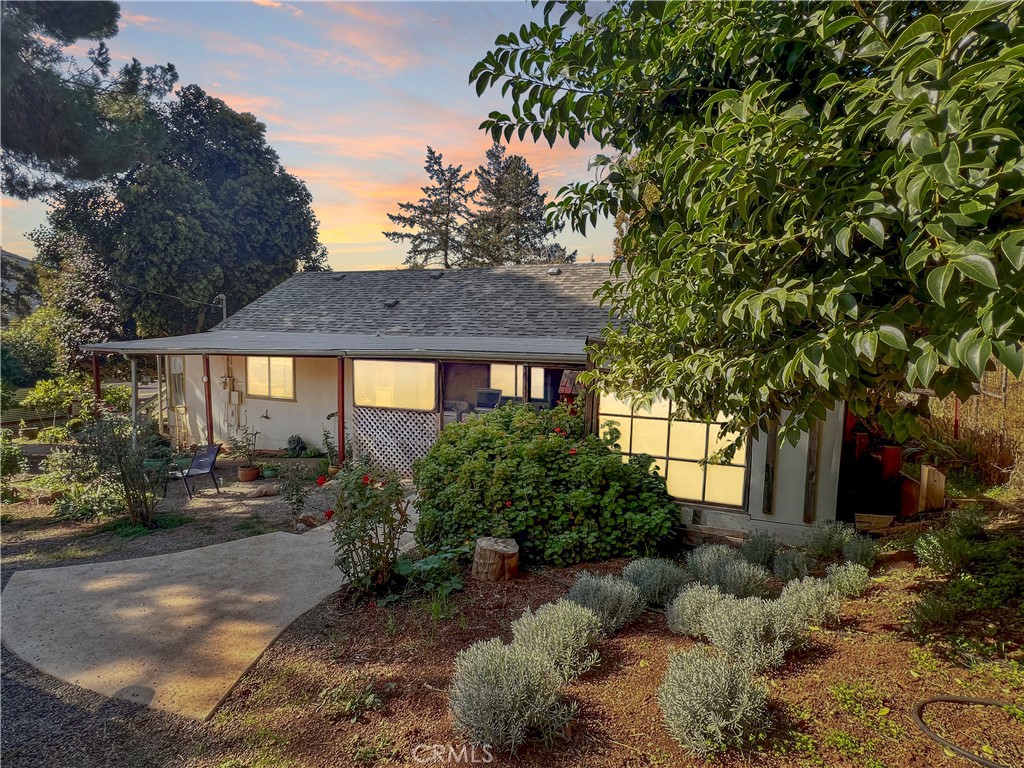 a view of a house with a yard and tree s