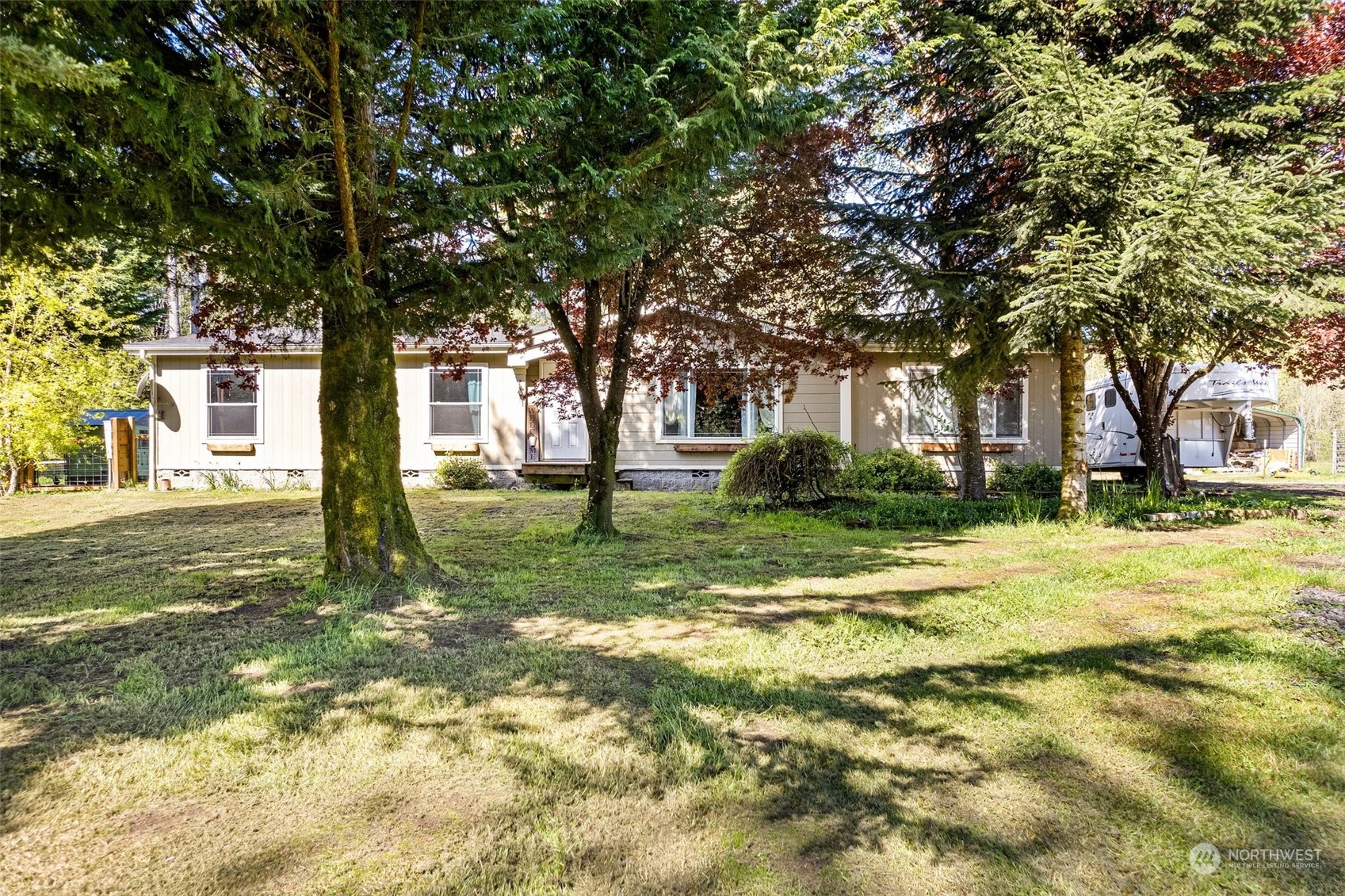 a view of a yard with a tree