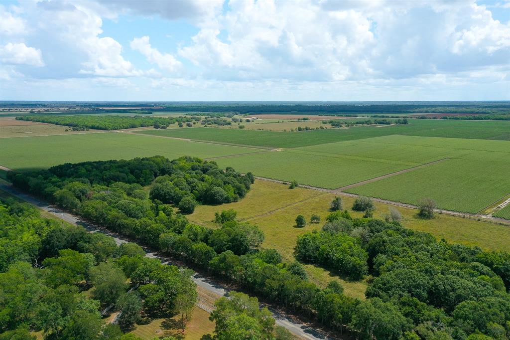 a view of a field with an ocean