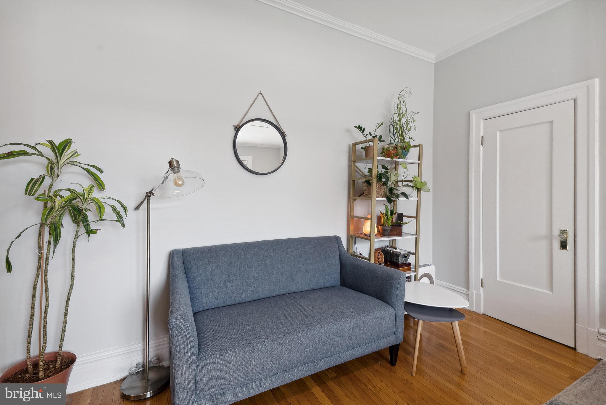 a living room with furniture and a potted plant