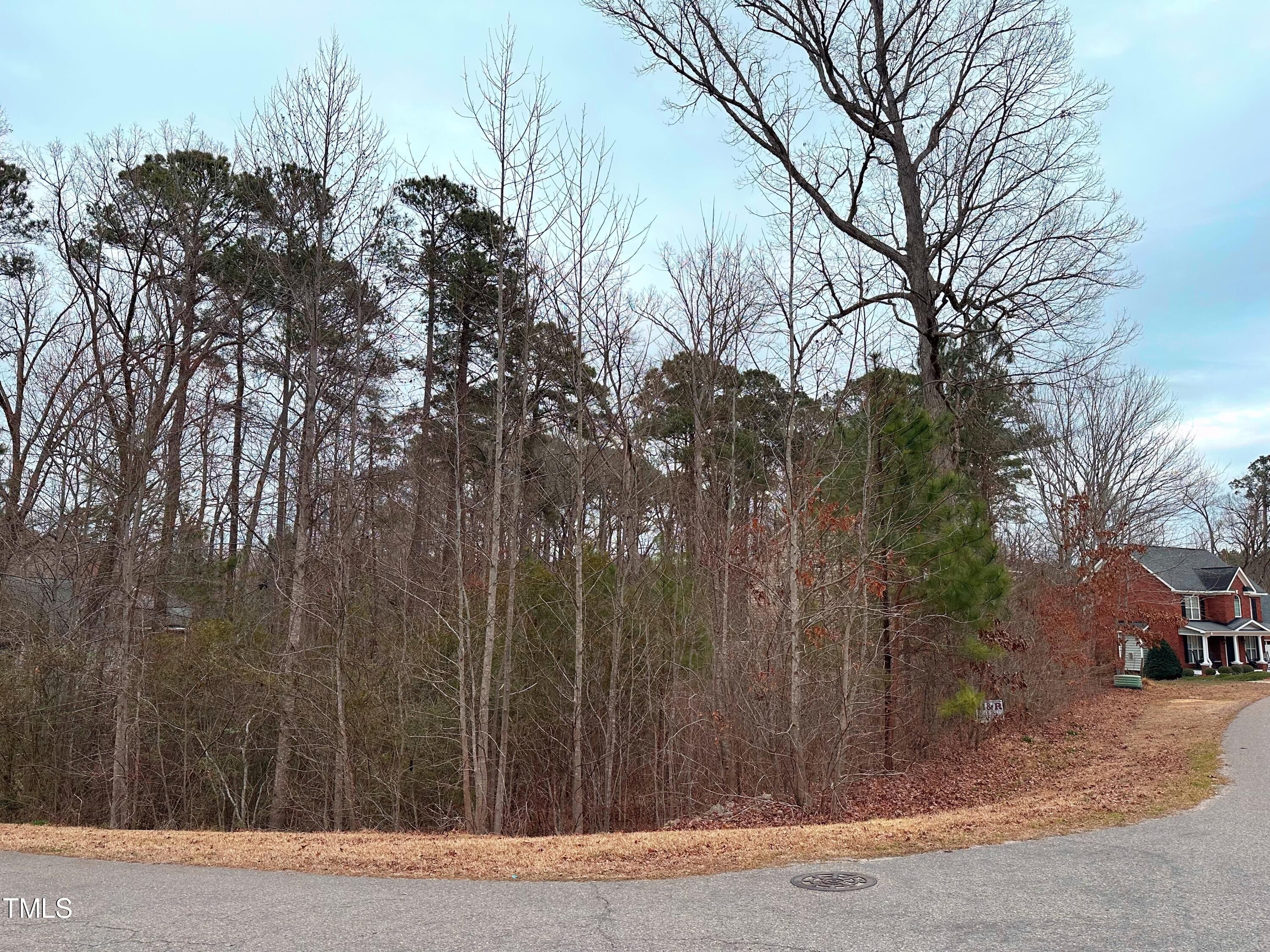 a view of a yard with trees