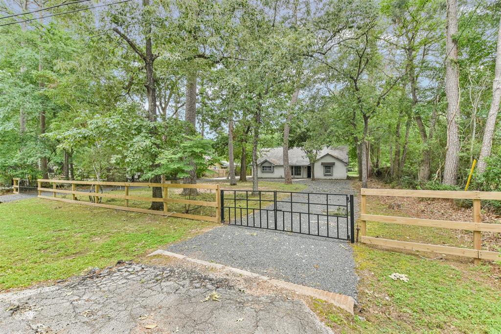 a view of a backyard with large trees