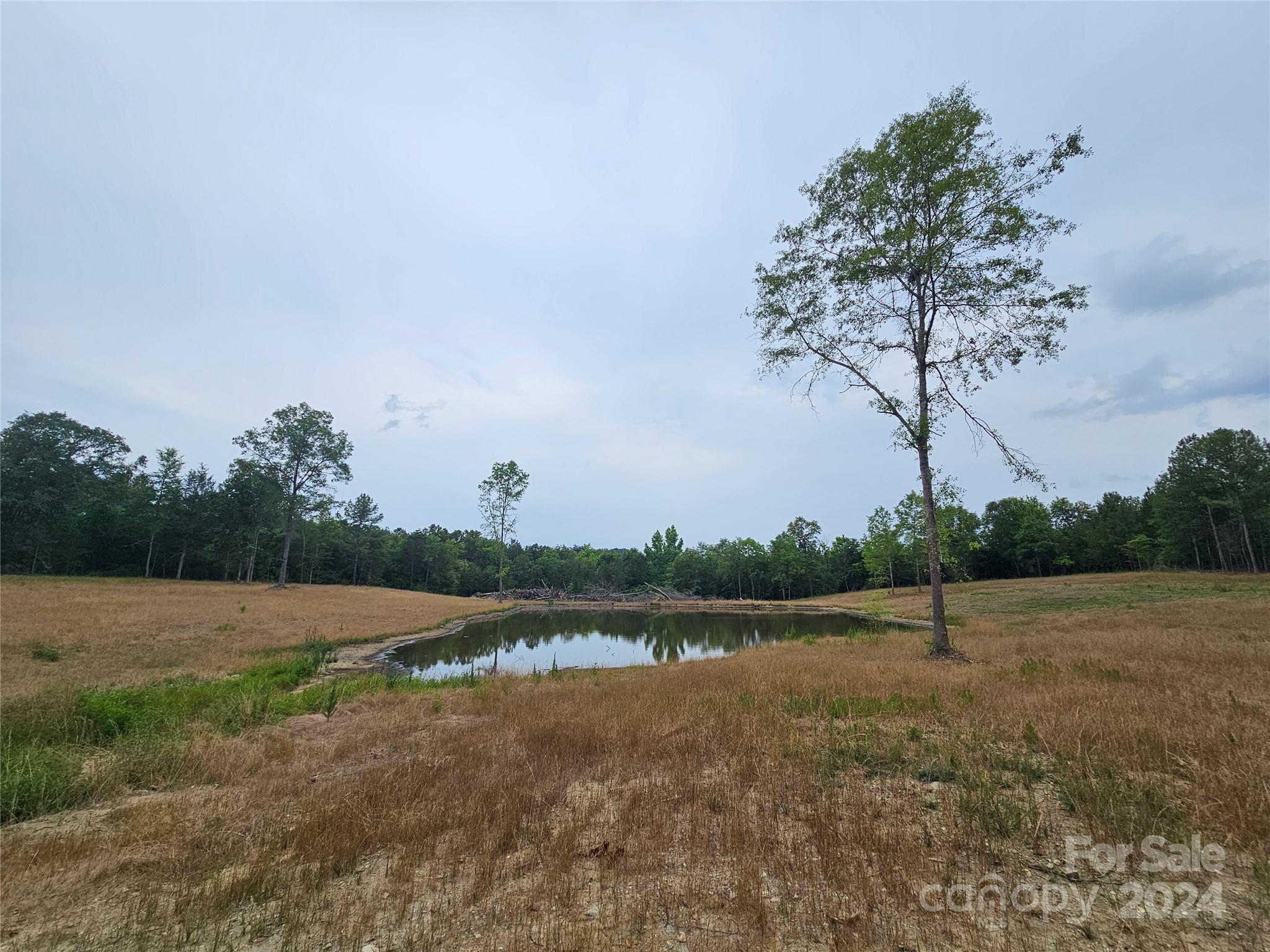 a view of a lake