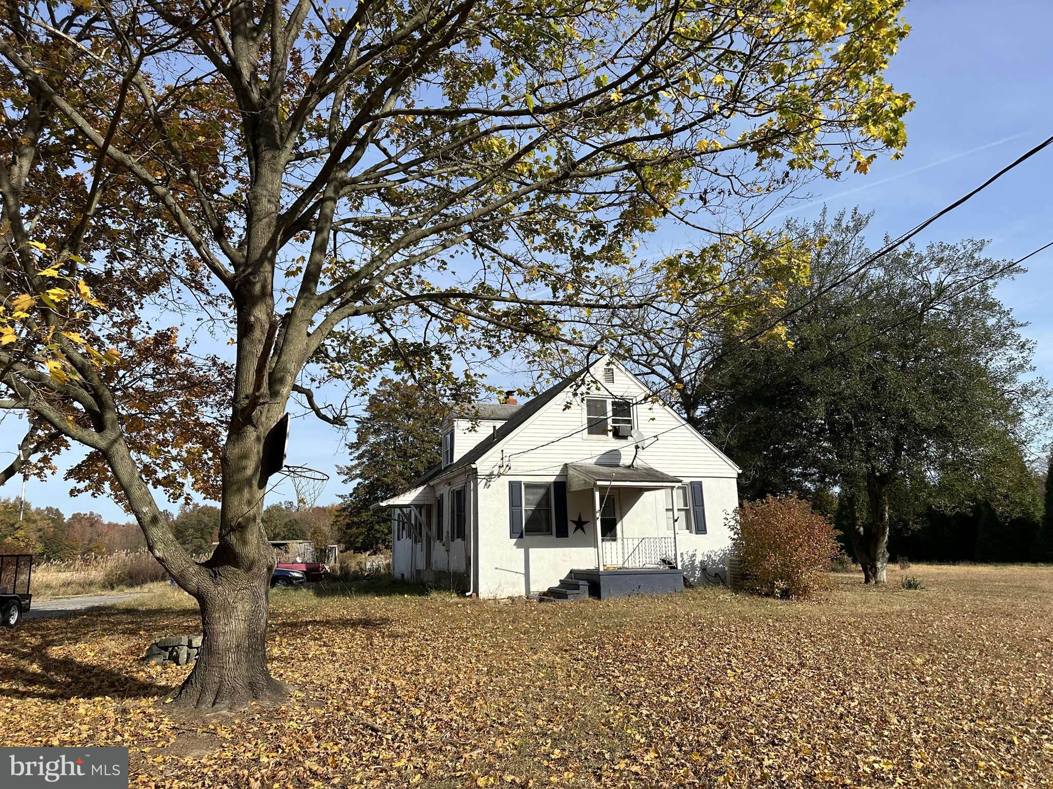 a white house that has a tree in front of it