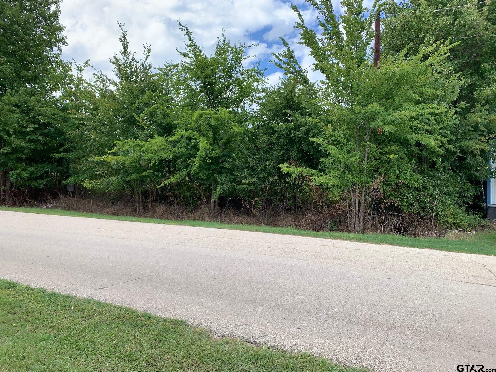 a view of a yard with a tree