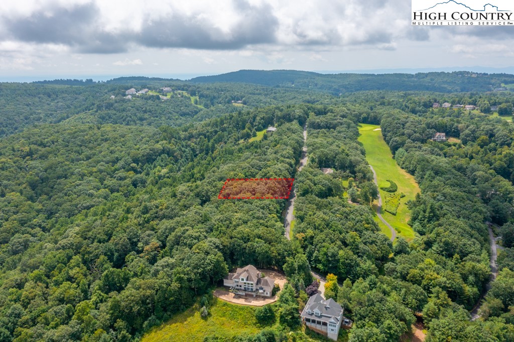 a view of a bunch of trees and houses