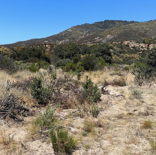 a view of a dry yard with mountains in the background