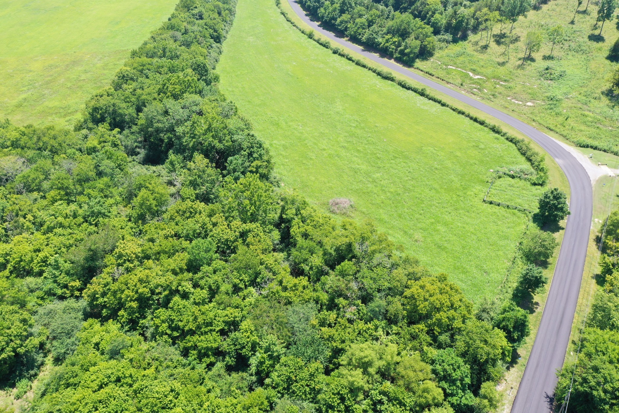 a view of a green field with lots of bushes