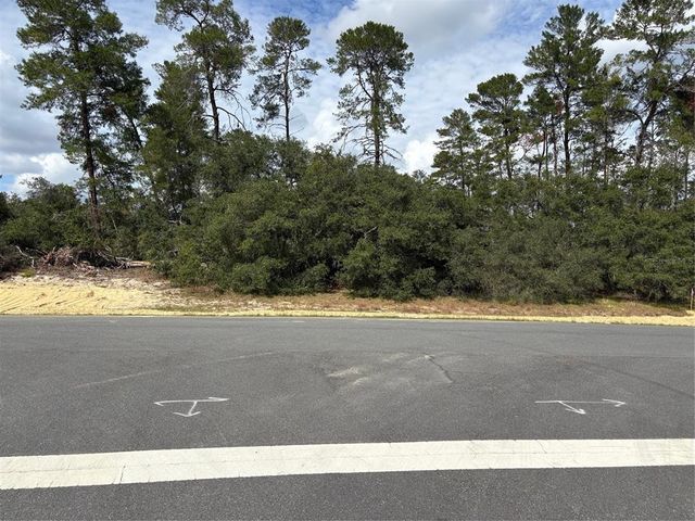 $65,000 | 0 Southwest 176th Lane Road | Marion Oaks