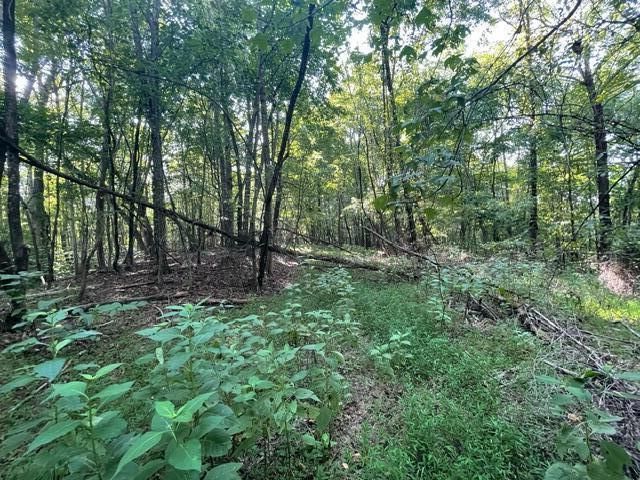 $49,900 | 0 Pine Hall Road | Martinsville