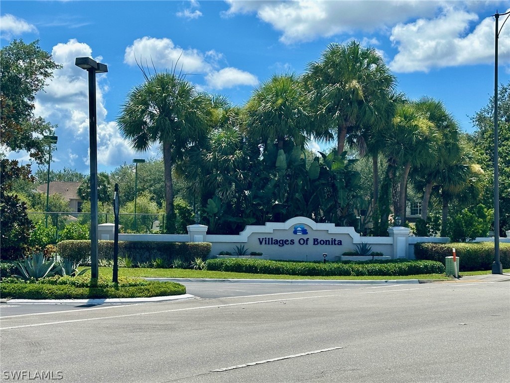 a view of a yard with plants