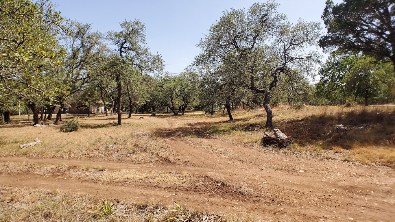 a view of road with trees