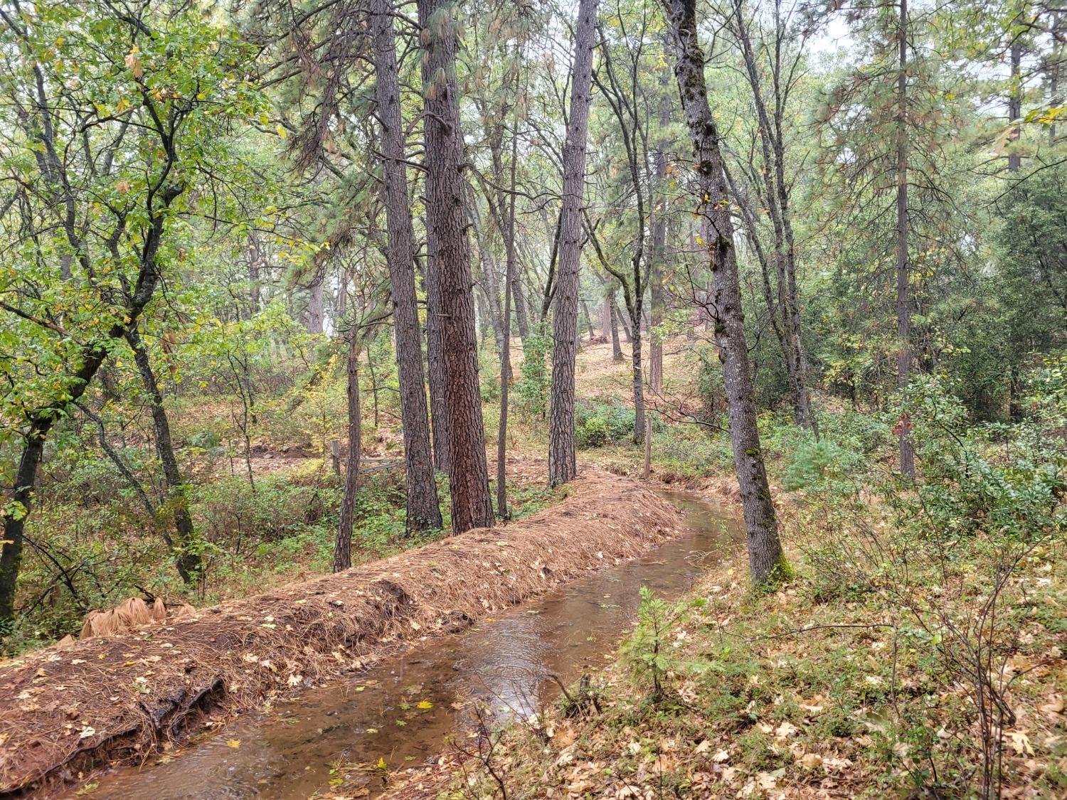 The SouthWest  corner of property is near this sharp curve in the irrigation ditch.