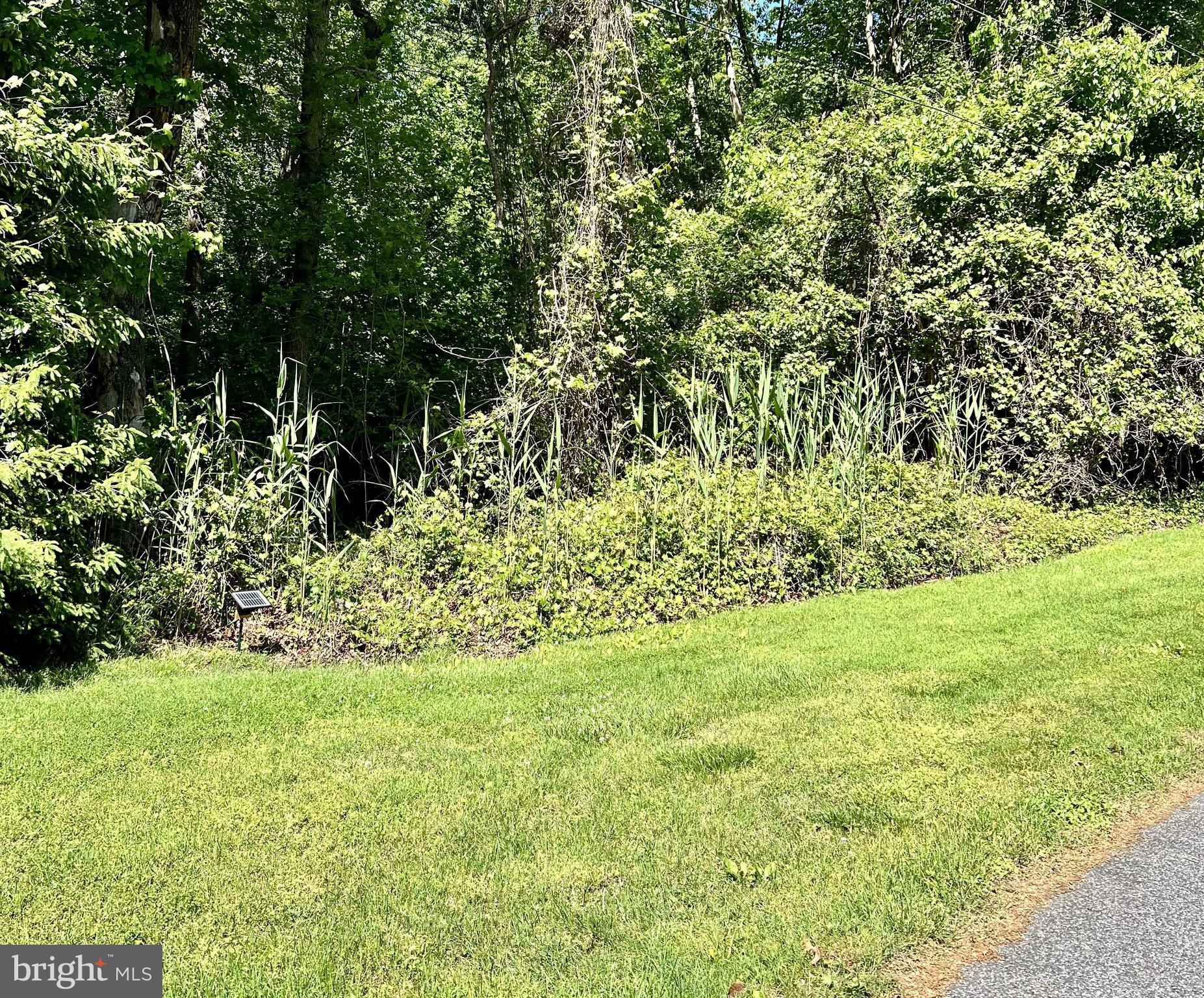 a view of yard with green space