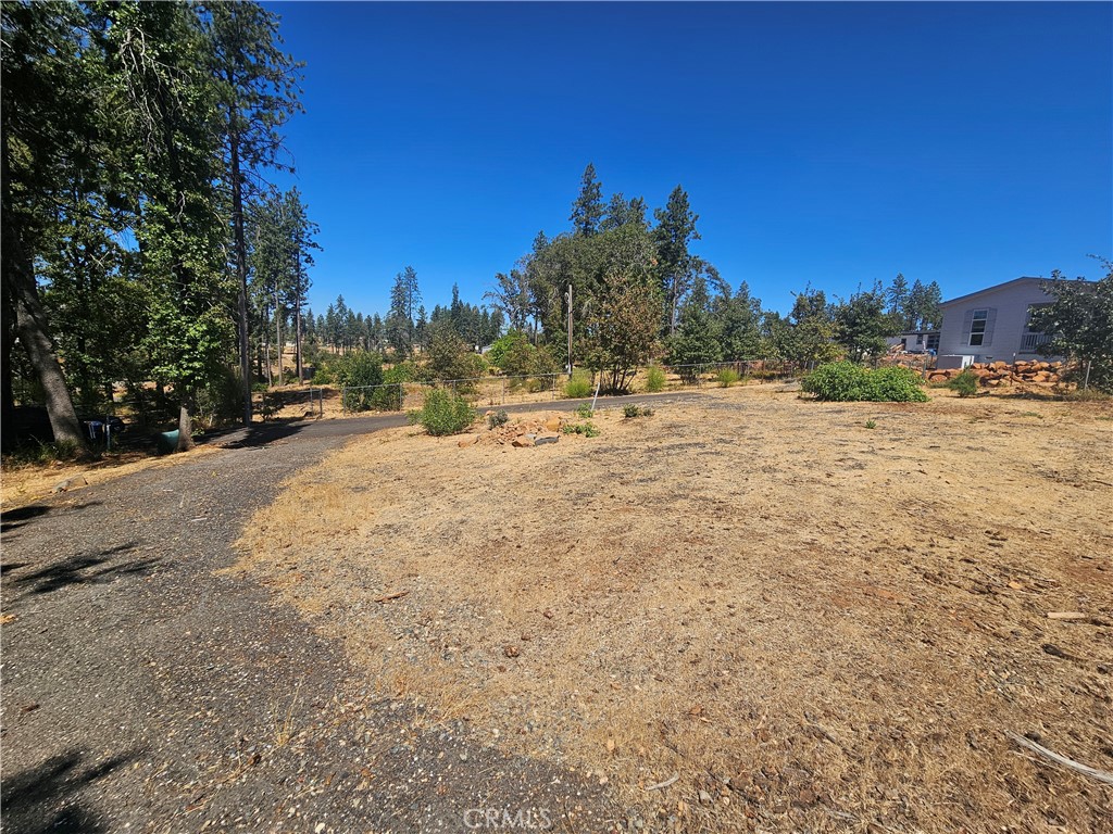 a view of a yard with a tree