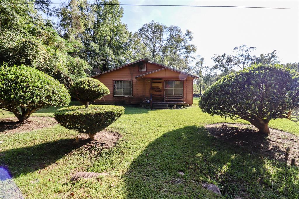 a large tree in front of a house