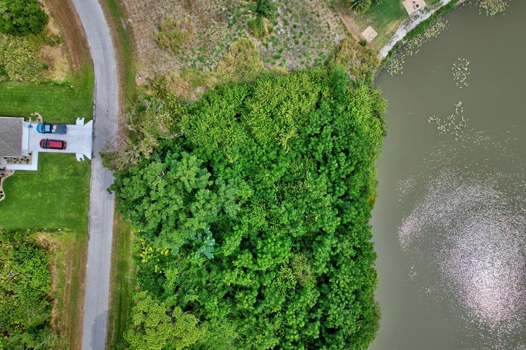 a view of a garden with a lake