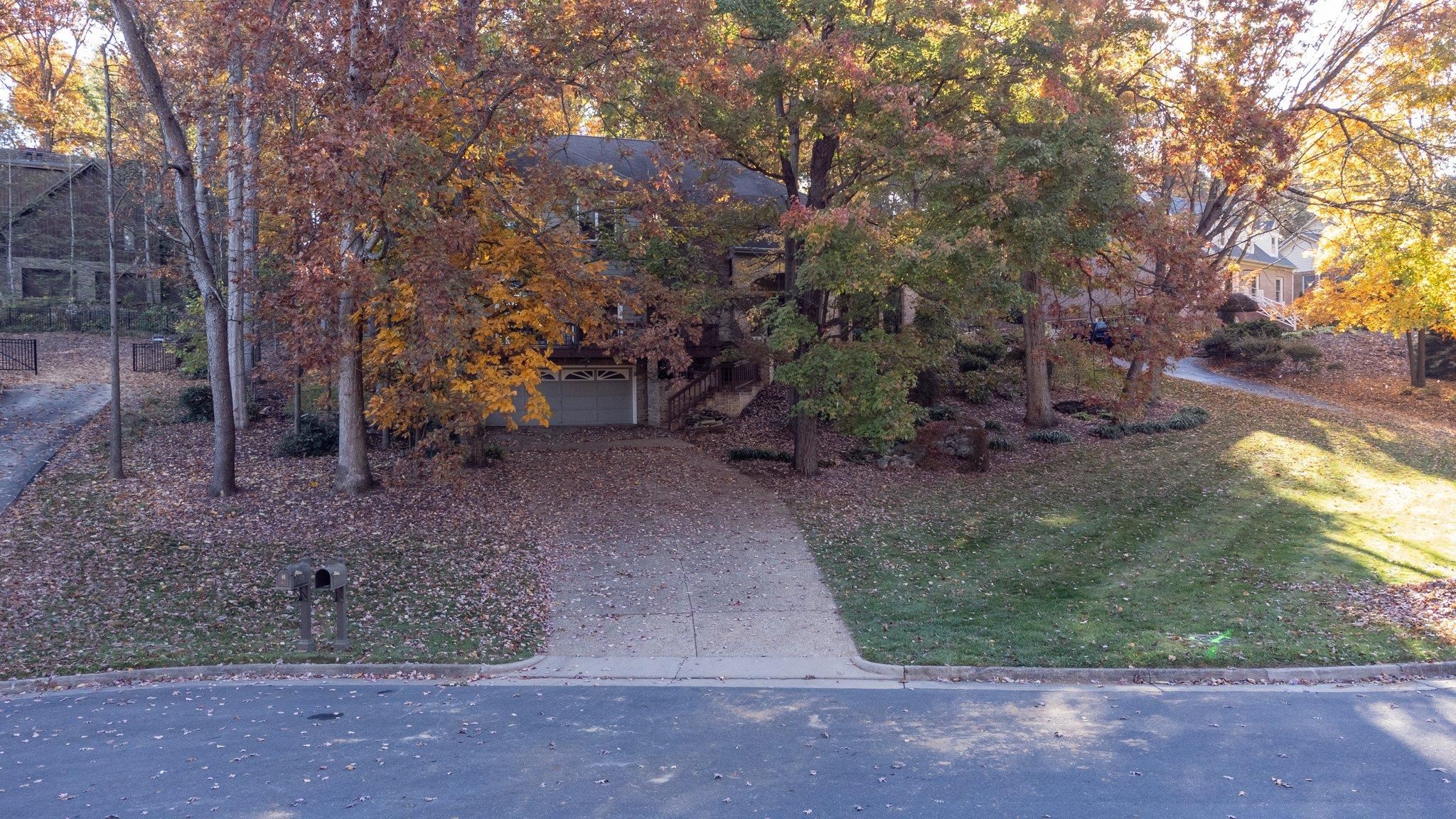 a view of a yard with a tree