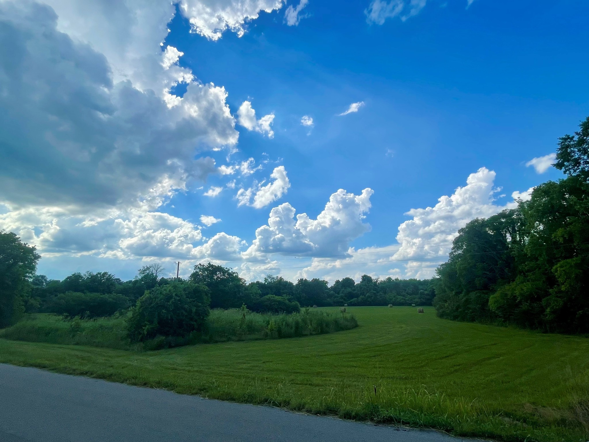 a view of a big yard