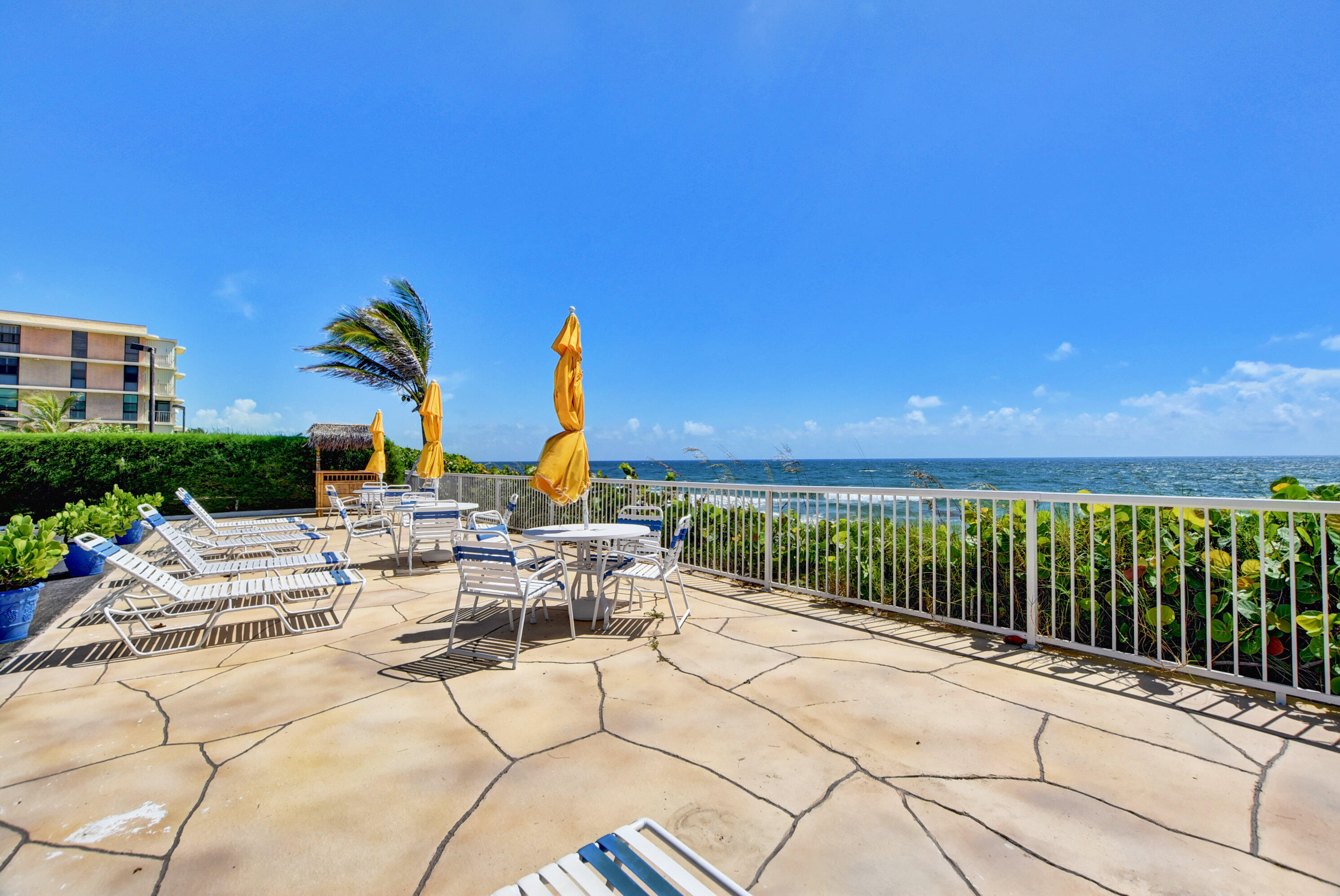 a view of a patio with a backyard