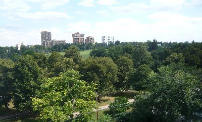 a view of a city with tall buildings