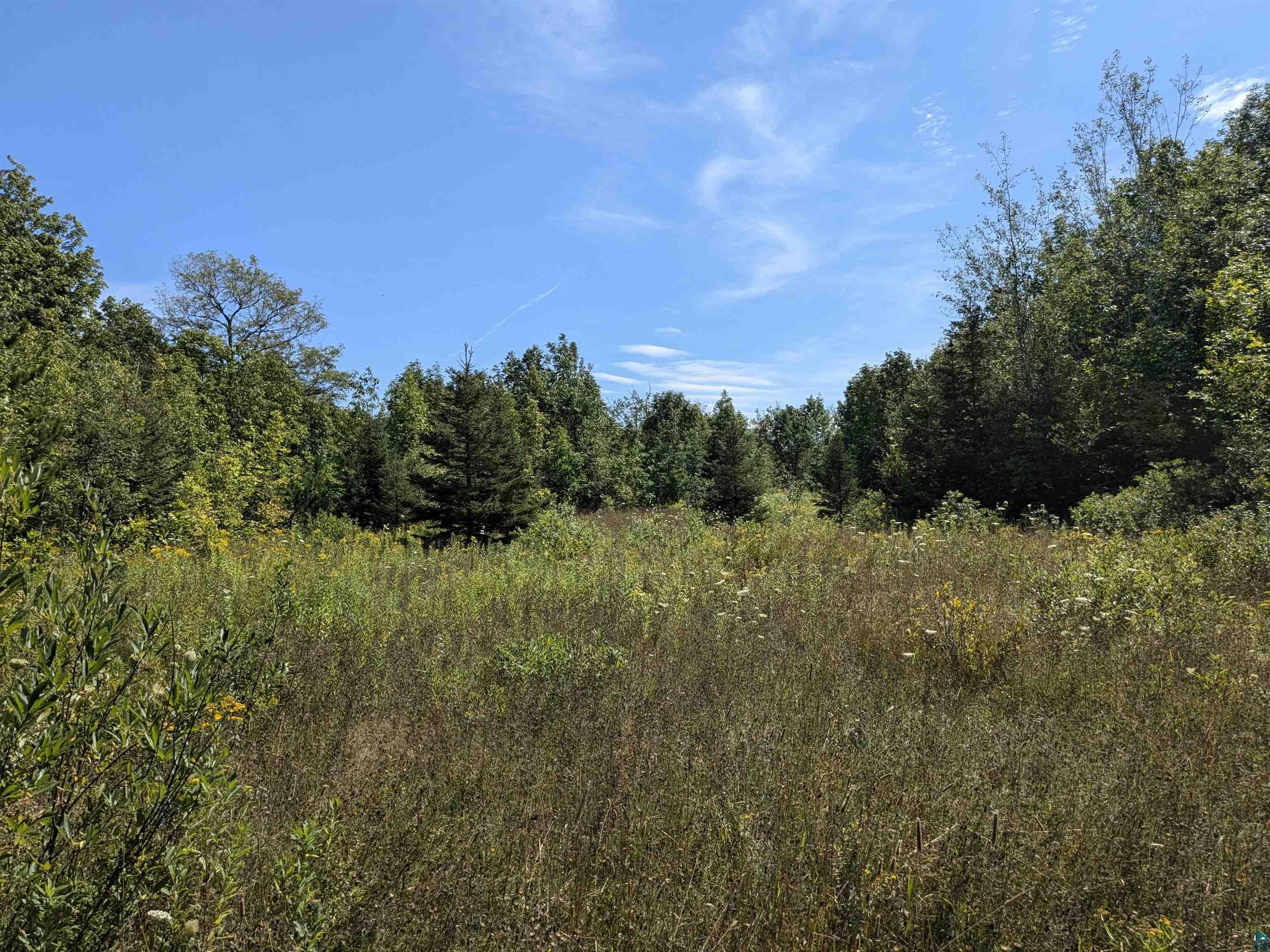 View of landscape