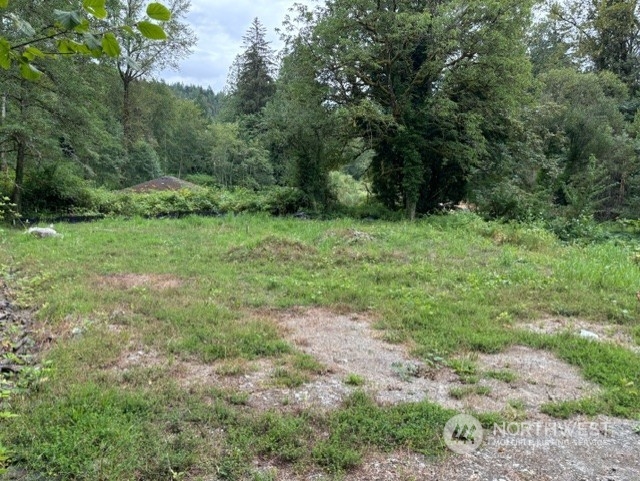 a big yard with lots of green space and deers