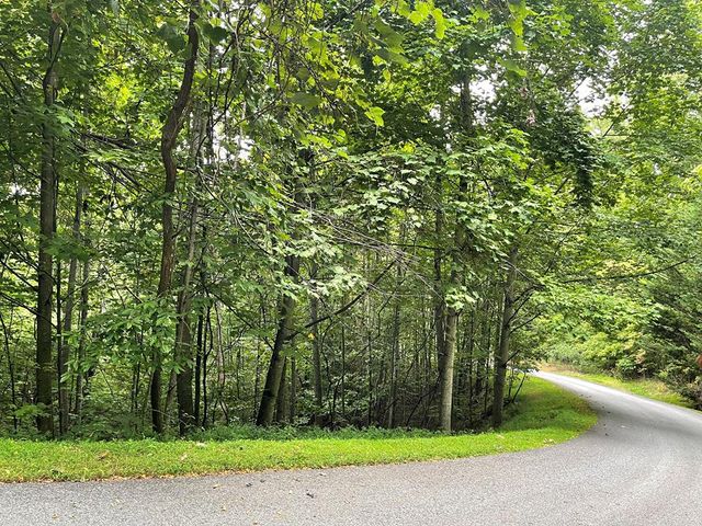 $44,900 | Lot 32 Mountain Harbour | Hiawassee Township - Clay County