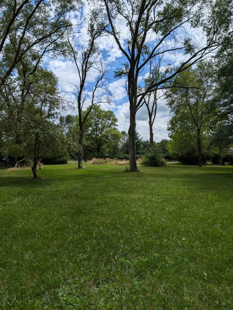 a view of grassy field with benches