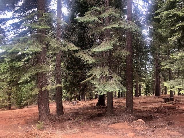 $80,000 | 109 Marion Trail | Lake Almanor West