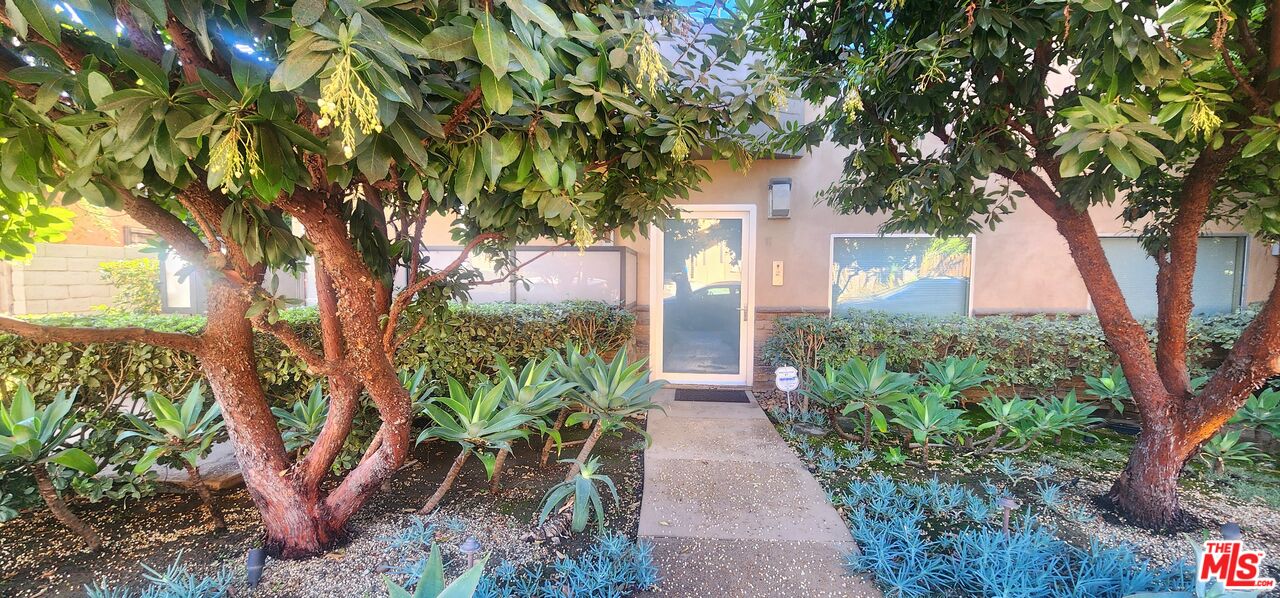 a view of a backyard with potted plants and large trees