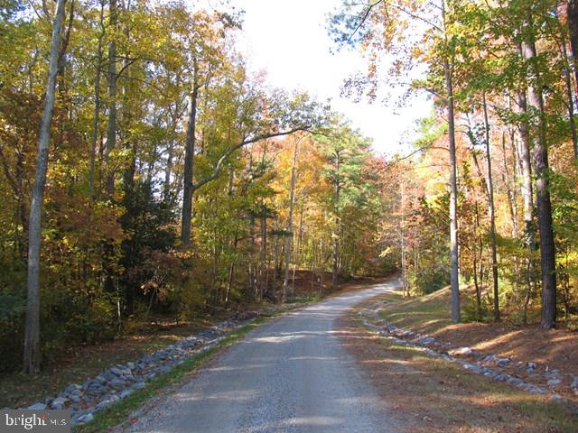 a view of a road with trees