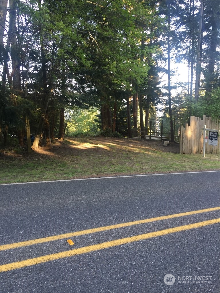 a view of a yard with large trees