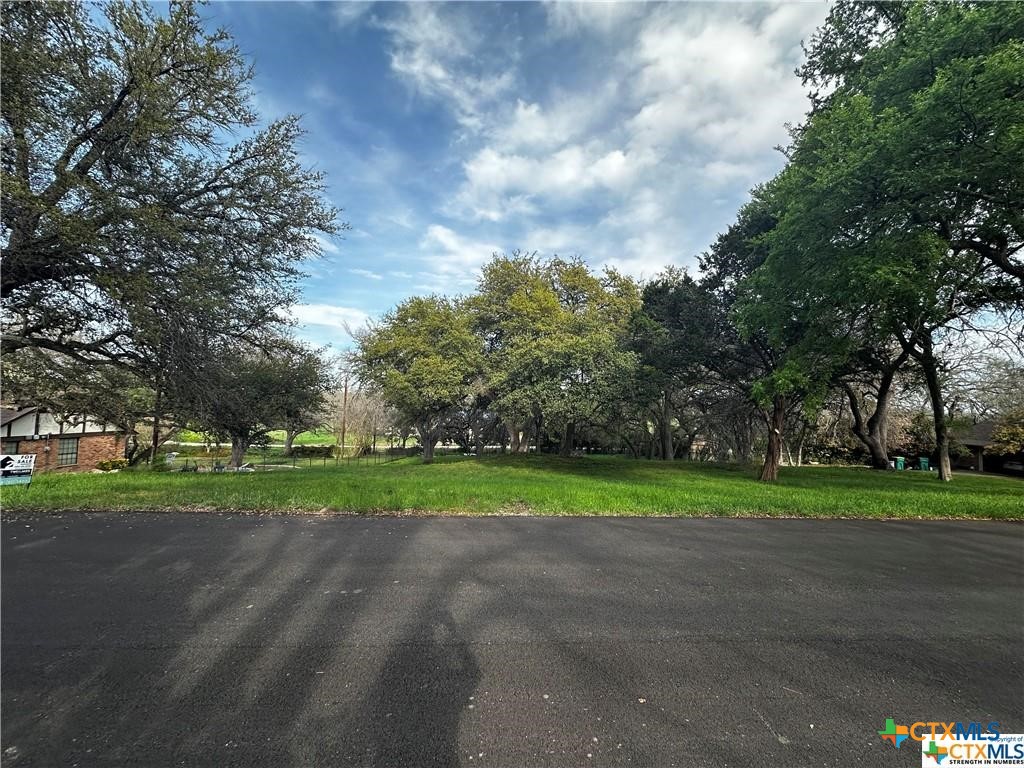 a green field with lots of trees in the background