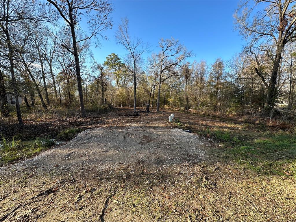 a view of dirt yard with a large tree