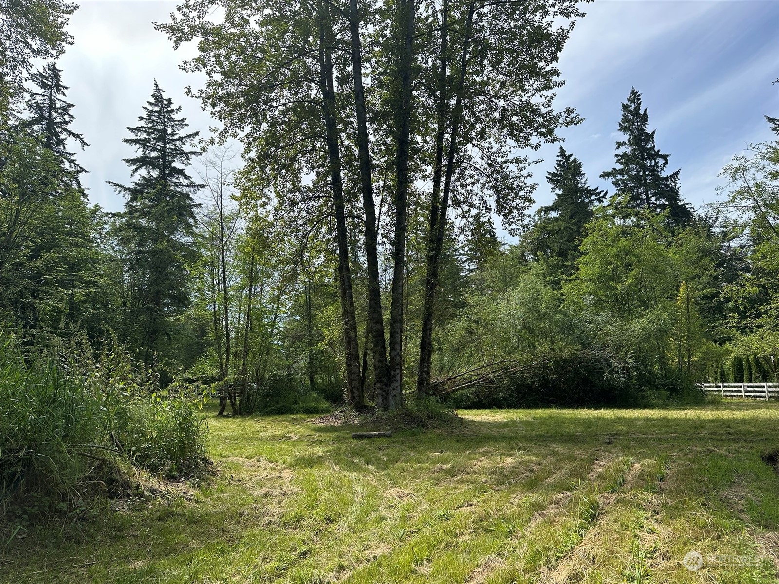 a view of outdoor space and yard