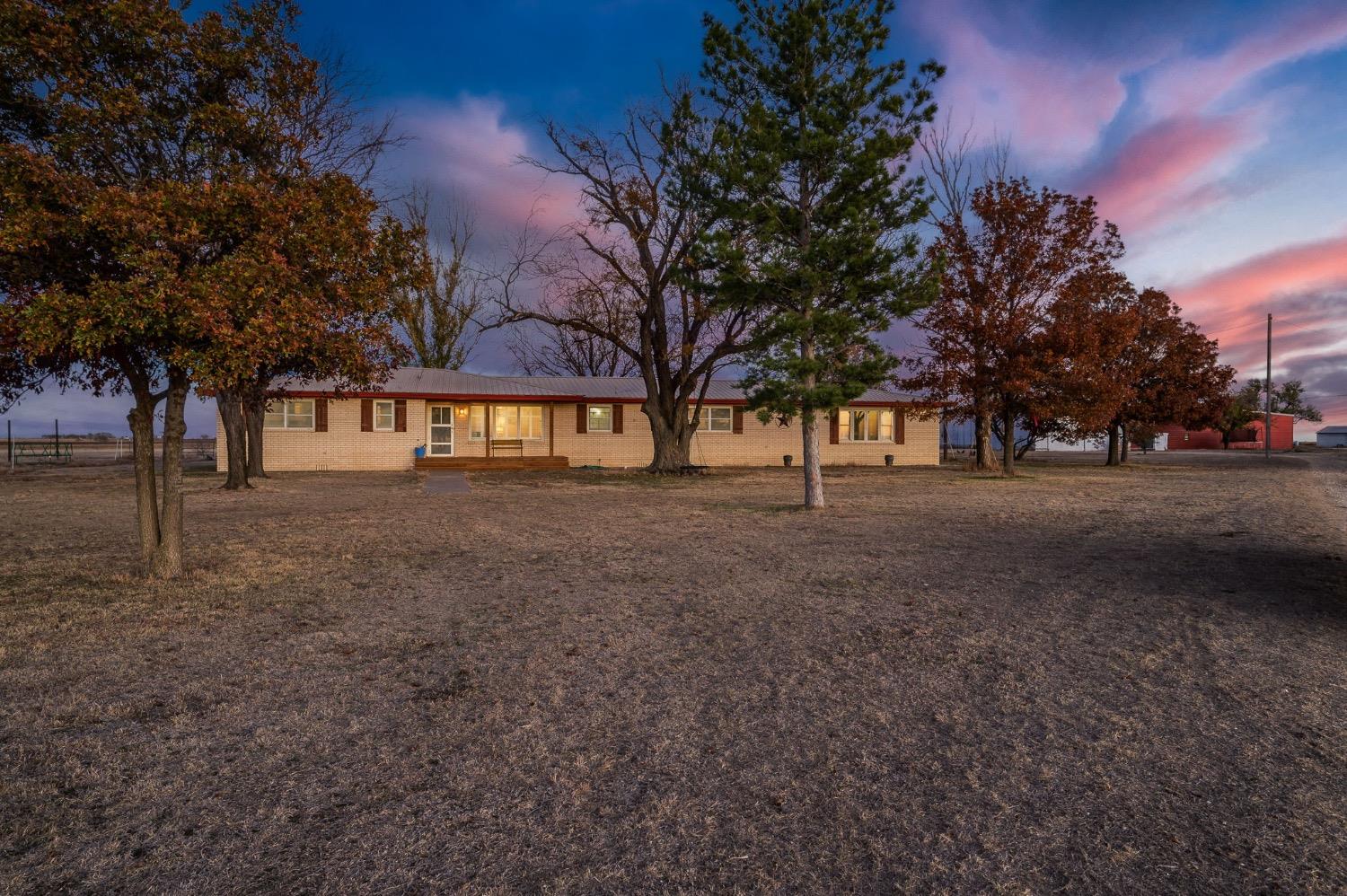 a view of a yard with a tree