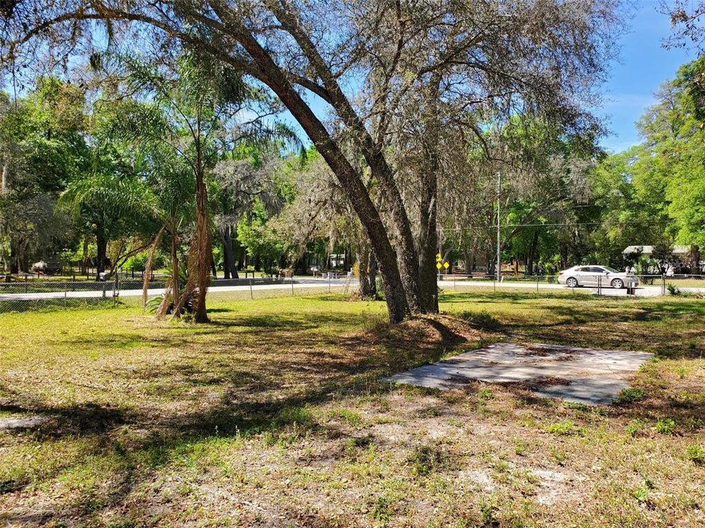 a view of a yard with swimming pool