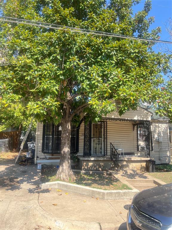 a view of a house with a tree in front of it