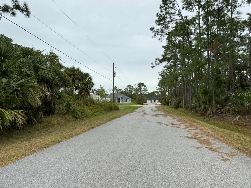 a view of a road with a yard