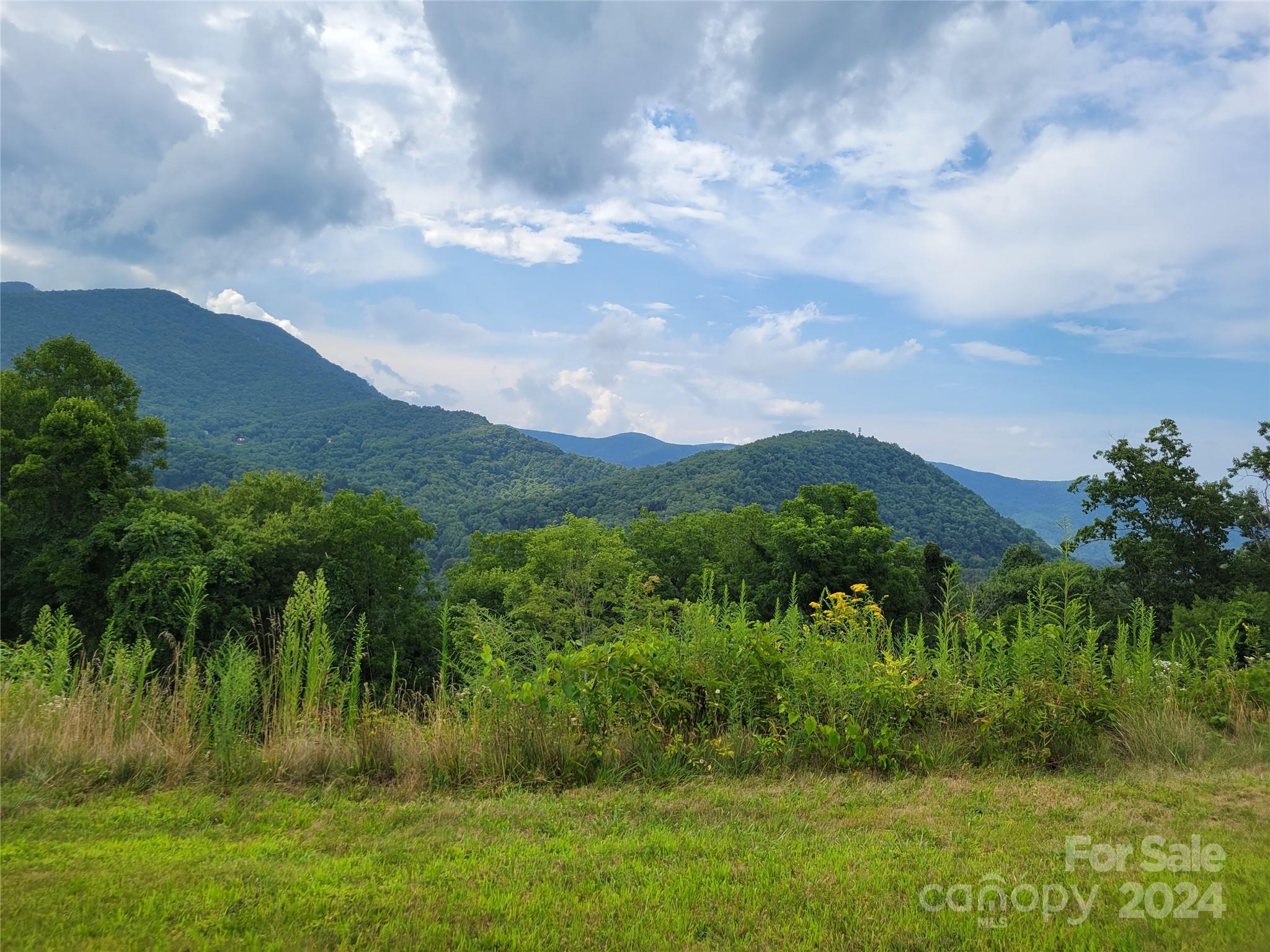 a view of a lush green outdoor space with a lake view