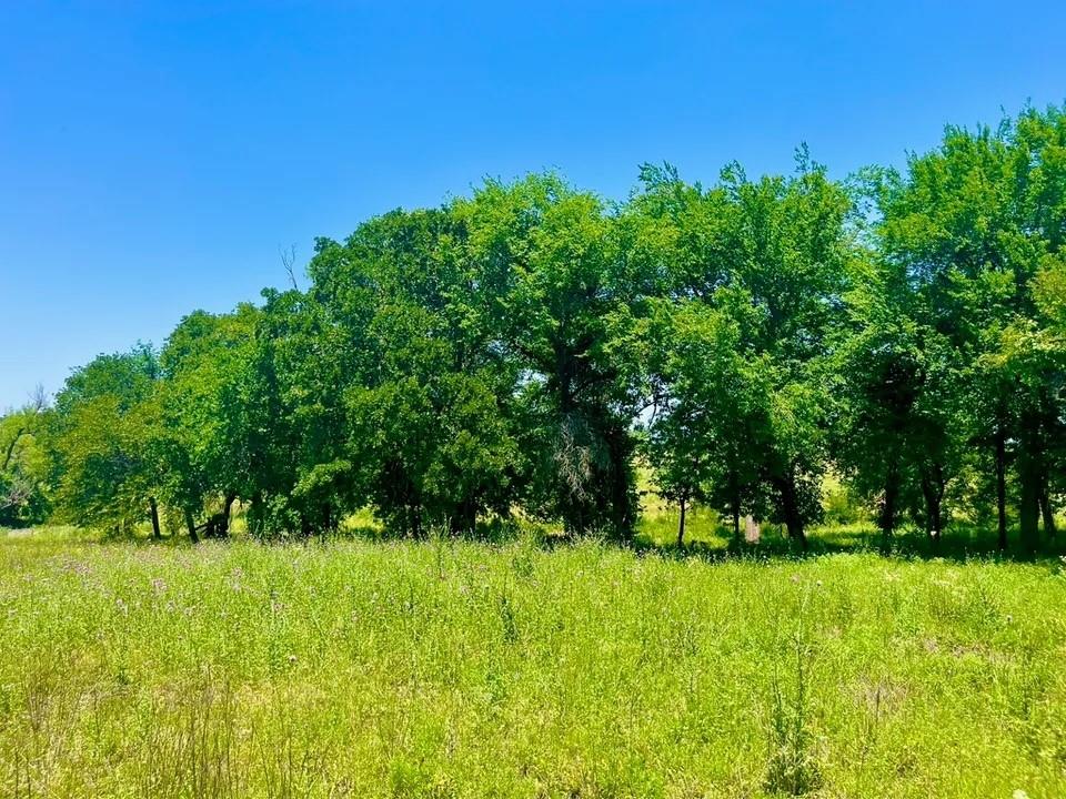 a view of yard with green space